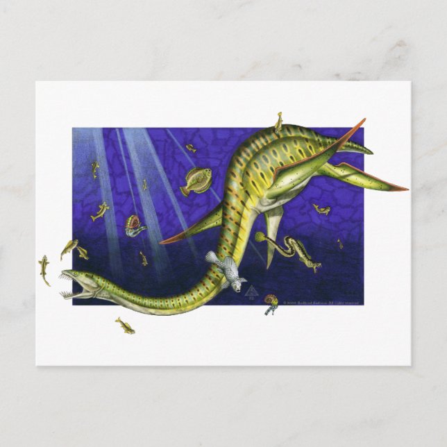 Plesiosaur Postcard (Front)