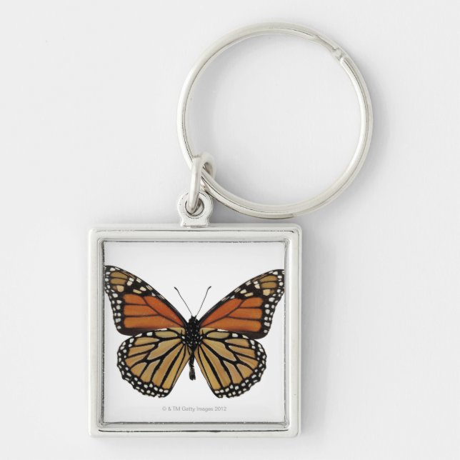 Plexippus Danaus Butterfly Key Ring (Front)