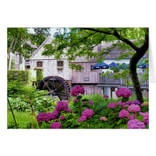 Plimoth Grist Mill at Jenney Pond in Summer