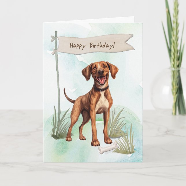 Plott Dog Breed Outdoors Under Birthday Sign Card (Front)