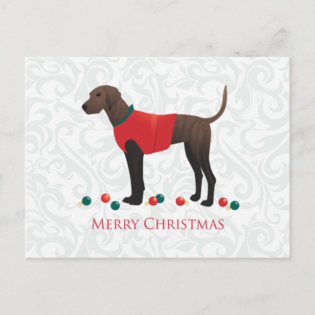 Plott Hound Christmas Holiday Postcard (Front)