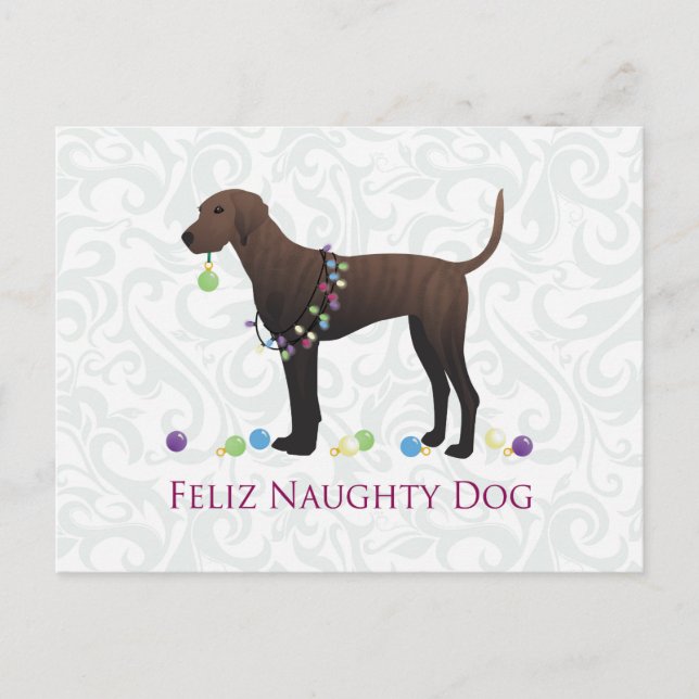 Plott Hound Christmas Holiday Postcard (Front)