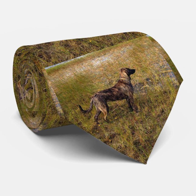 Plott Hound  Dog Hunting Tie (Rolled)