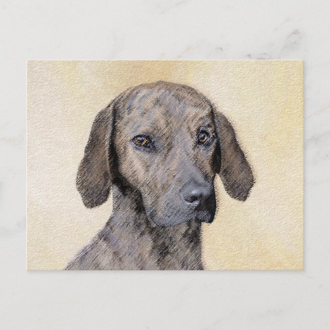 Plott Painting - Cute Original Dog Art Postcard (Front)