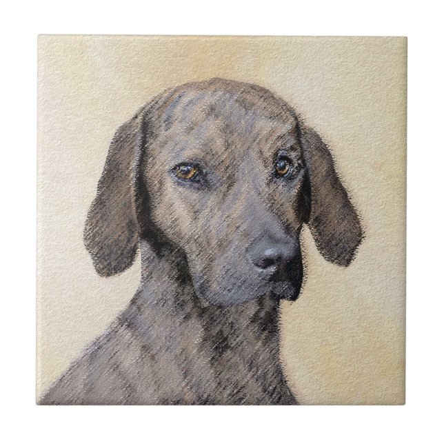 Plott Painting - Cute Original Dog Art Tile (Front)
