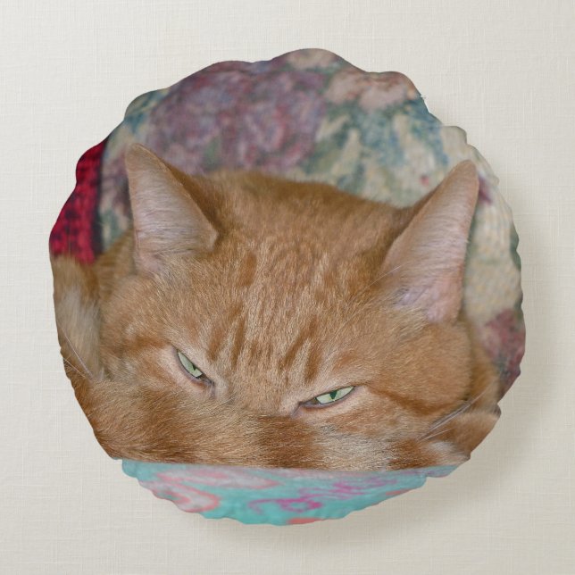 Plotting Round Cushion (Back)