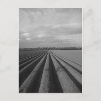 Ploughed Field Postcard