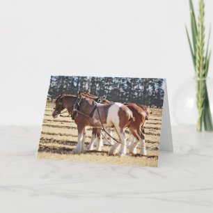 Ploughing Draught Horses in Hitch Thank you Holiday Card