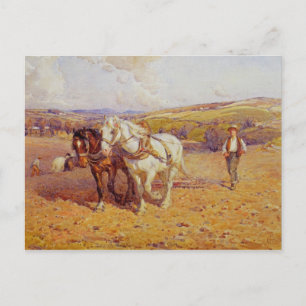 Ploughing Postcard