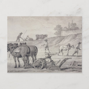 Ploughing the Fields Postcard