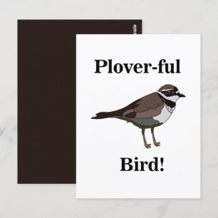 Plover Bird Funny Nature Wildlife Postcard