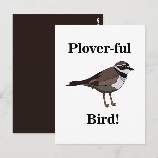 Plover Bird Funny Nature Wildlife Postcard (Front/Back)