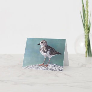 Plover Shore Bird Art Note Card