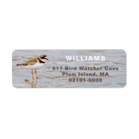 Plover Shore Bird Return Address