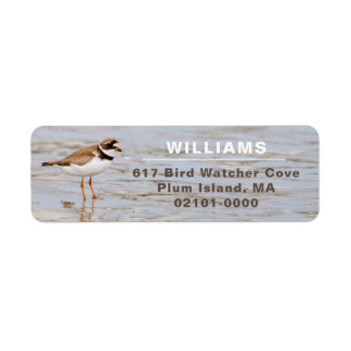 Plover Shore Bird Return Address