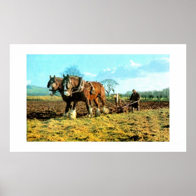 Plowing Poster (Front)