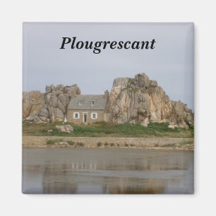 Plucking - magnet