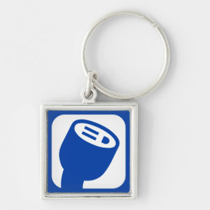 PlugShare Logo Keyring