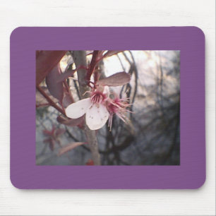 Plum Bloom Mouse Pad