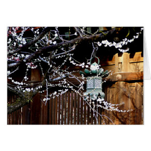 Plum Blossom and Metal Lantern