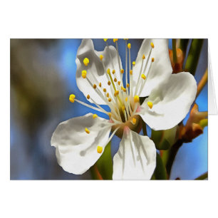 Plum Blossom Botanical Art
