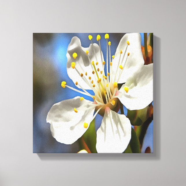 Plum Blossom Botanical Art Canvas Print (Front)