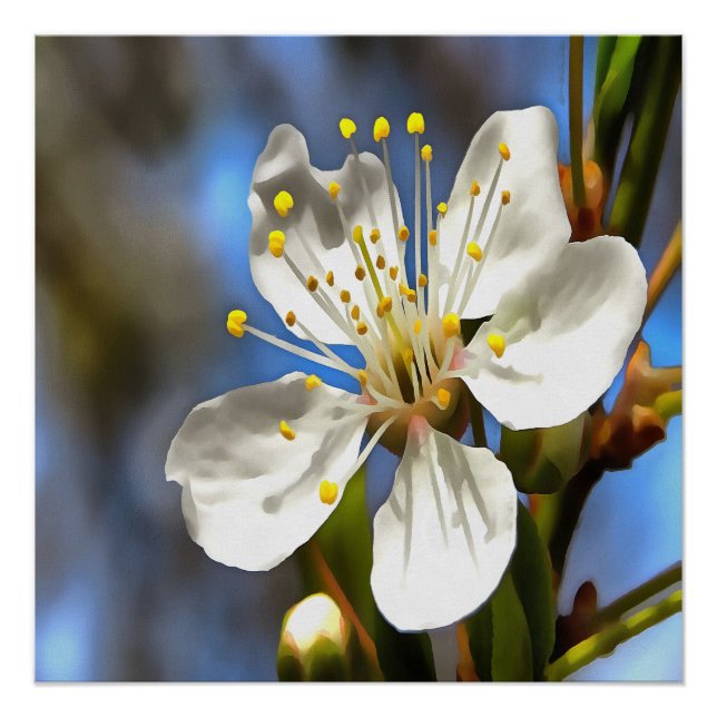 Plum Blossom Botanical Art Poster (Front)