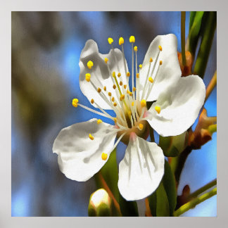 Plum Blossom Botanical Art Poster