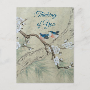 Plum Blossom in Spring Postcard