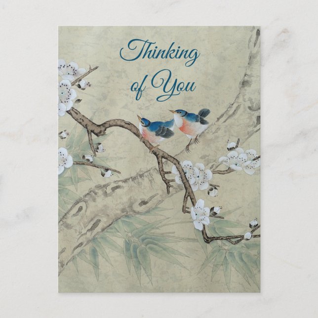 Plum Blossom in Spring Postcard (Front)