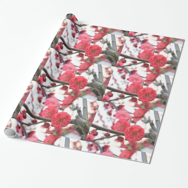 plum blossom spring pink flowers 2 wrapping paper (Unrolled)