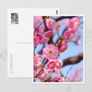 Plum Blossom ‘Yae-tobai’ Postcard