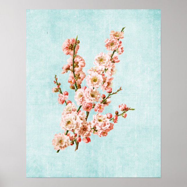 Plum Blossoms on Aged Denim Poster (Front)