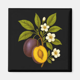 Plum Botanical Fruit Graphic Orchard Farm Nature A Magnet