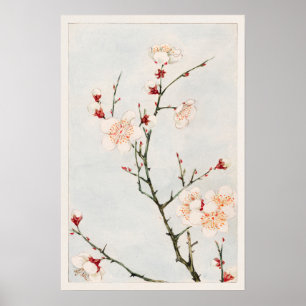 Plum Branches with Blossoms by Megata Morikaga Poster