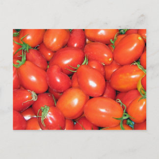 Plum Tomatoes Postcard