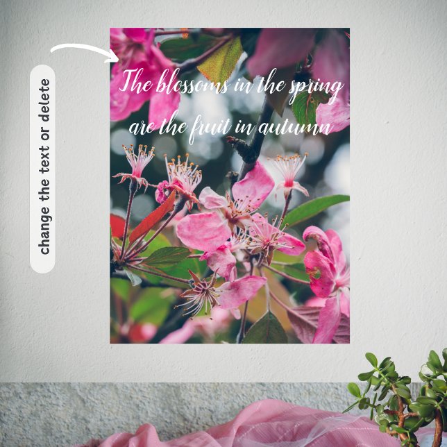 Plum Tree Branch with Pink Flowers Poster (Creator Uploaded)