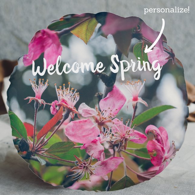 Plum Tree Branch with Pink Flowers Round Cushion (Creator Uploaded)