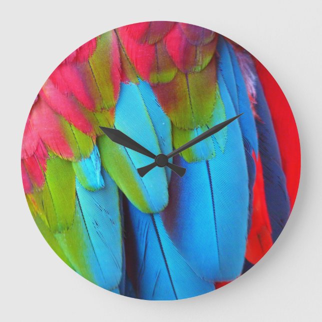 Plumage 1 Wall Clocks & Numeral Options (Front)