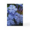 Plumbago