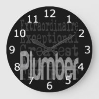 Plumber Extraordinaire