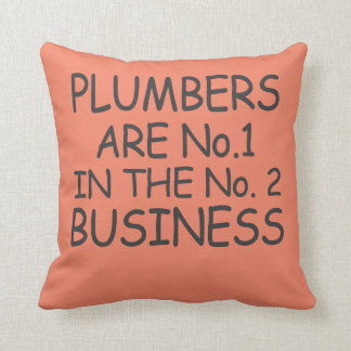 Plumbers are no.1 in the no.2 business cushion