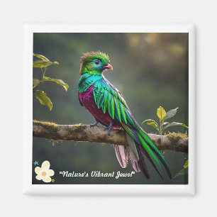 "Plumed Beauty" Magnet