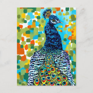 Plumed Peacock II Postcard
