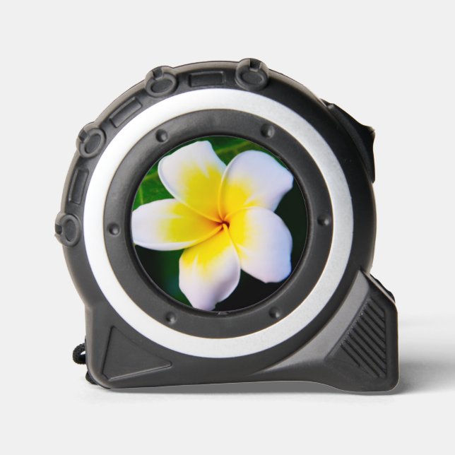 plumeria 1 (Front)