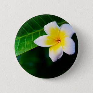 Plumeria 6 Cm Round Badge