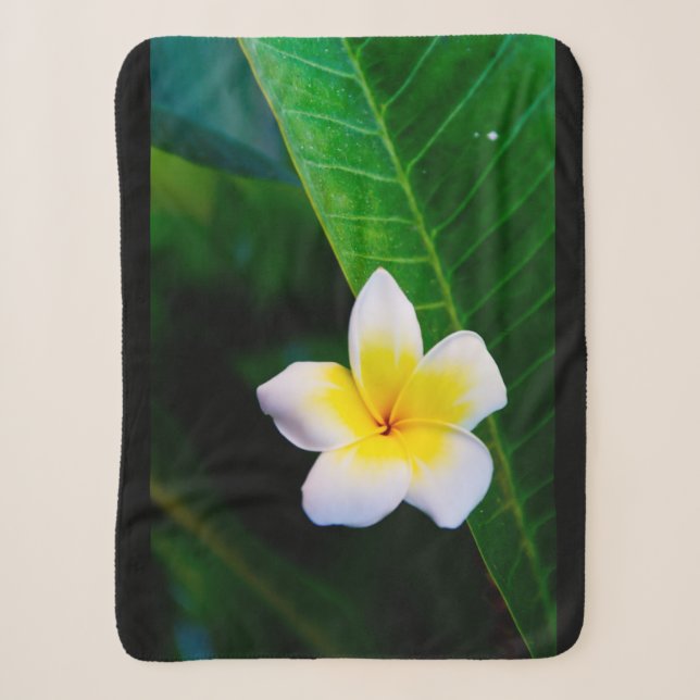 Plumeria background sherpa blanket (Front)