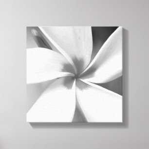 Plumeria - Black and White Macro Portrait Canvas Print