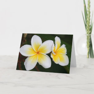 Plumeria Blossoms Card