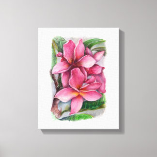 Plumeria Canvas Print